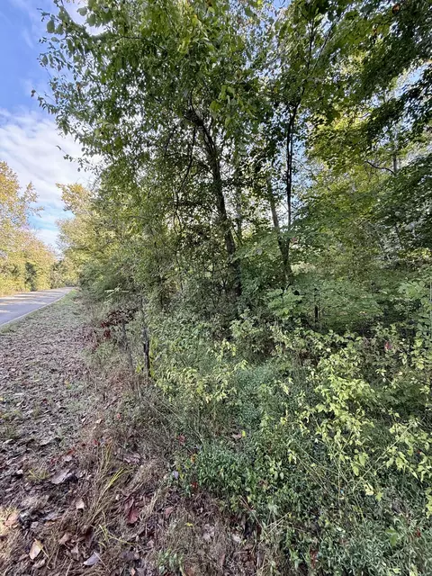 3840 E Beaverdam Rd, Centerville, TN 37033 photo 18