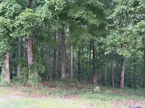 3840 E Beaverdam Rd, Centerville, TN 37033 photo 11