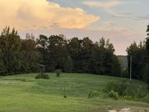 3840 E Beaverdam Rd, Centerville, TN 37033 photo 13