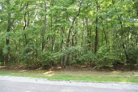 0 Chestnut Hollow Trl, Mcminnville, TN 37110