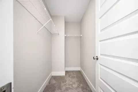 8015 Tuberose Ct, Spring Hill, TN 37174 photo 20