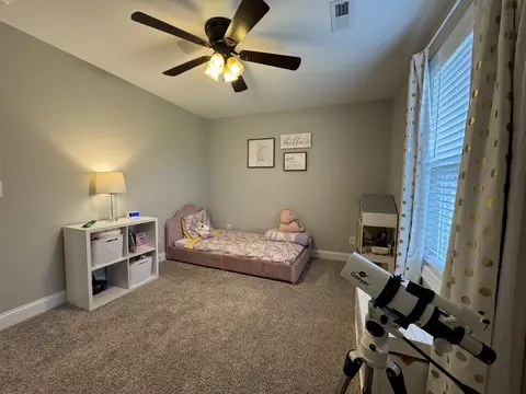 344 Brandywine Ln, Springfield, TN 37172 photo 18