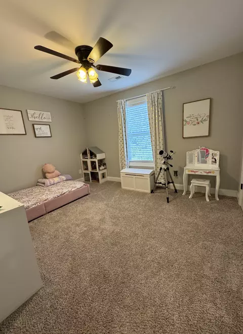 344 Brandywine Ln, Springfield, TN 37172 photo 17