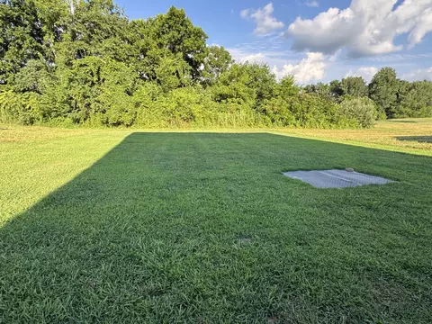 344 Brandywine Ln, Springfield, TN 37172 photo 29