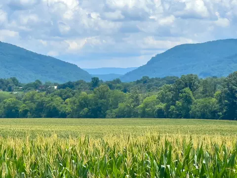 525 Ob Davis Rd, Delano, TN 37325