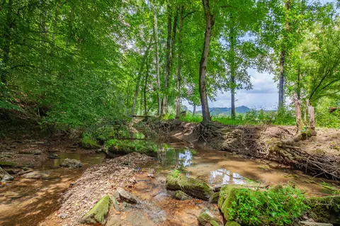 Other - 7599 Beech Hill Rd, Pulaski, TN 38478 photo 21 of 23