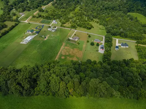 View/Area - 7599 Beech Hill Rd, Pulaski, TN 38478 photo 7 of 10