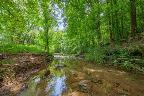 Other - 7599 Beech Hill Rd, Pulaski, TN 38478 photo 20 of 23