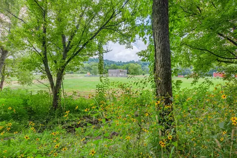 Exterior - 7599 Beech Hill Rd, Pulaski, TN 38478 photo 22 of 23