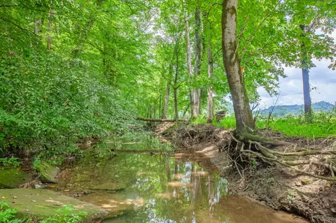 Other - 7599 Beech Hill Rd, Pulaski, TN 38478 photo 22 of 23