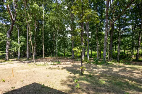 104 Cherry Blossom Way, Dickson, TN 37055 photo 9