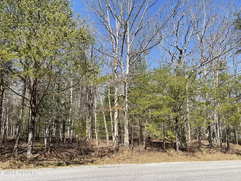 133 Tawny Oak Loop, Crossville, TN 38558
