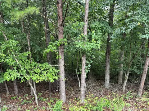 2628 Ivydale Ln, Crossville, TN 38558