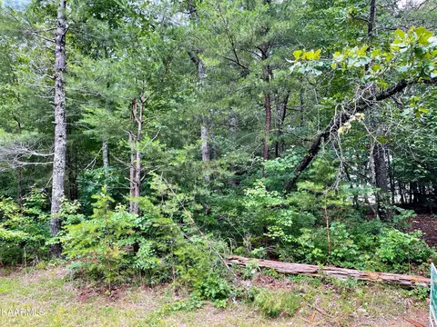 133 Laswell Ln, Crossville, TN 38558