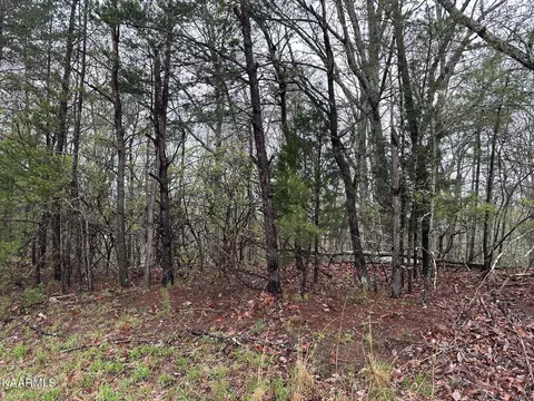 10 Laurelton Ct, Crossville, TN 38558