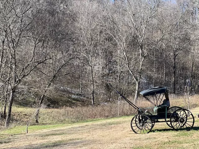 Other - 625 White Hollow Ln, Lafayette, TN 37083 photo 7 of 12