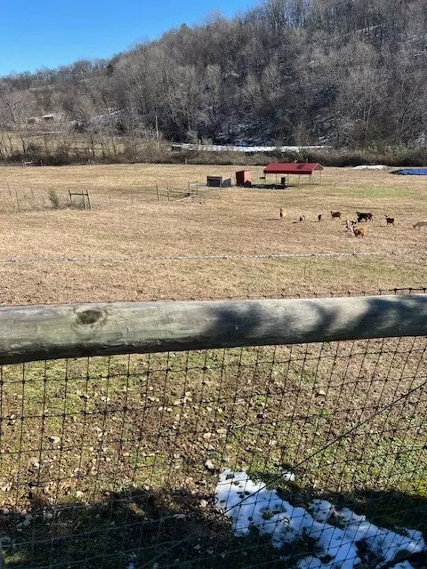 Other - 625 White Hollow Ln, Lafayette, TN 37083 photo 8 of 12