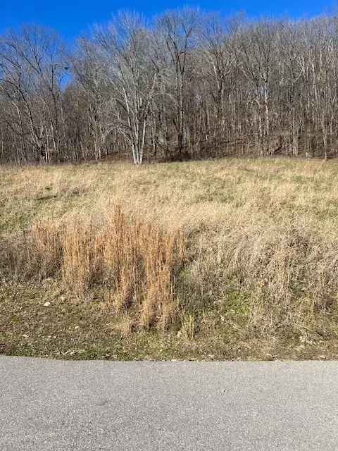 Other - 625 White Hollow Ln, Lafayette, TN 37083 photo 9 of 12