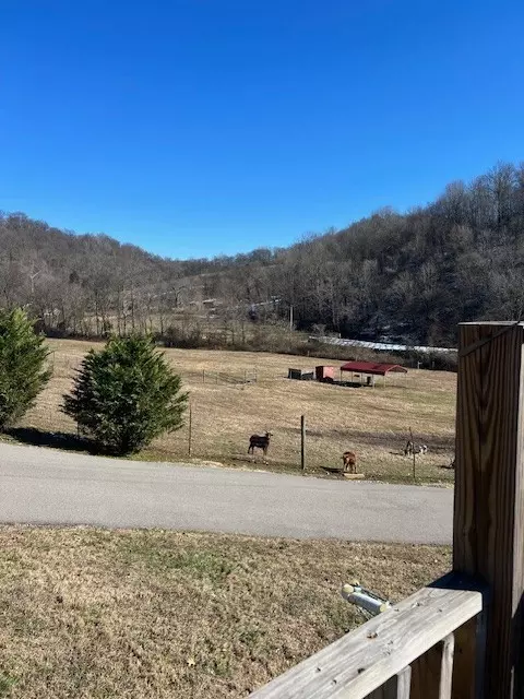 Exterior - 625 White Hollow Ln, Lafayette, TN 37083 photo 8 of 19