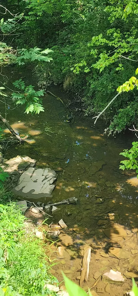 0 3rd St, Tracy City, TN 37387