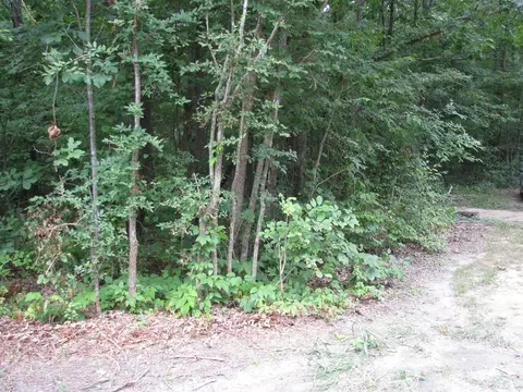128 Washington Cir, Waverly, TN 37185