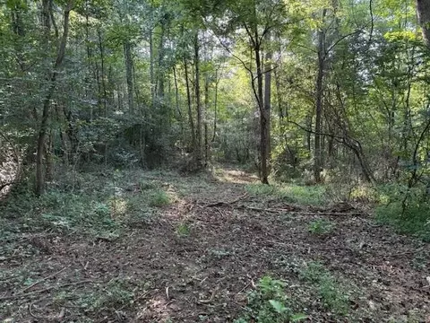 2 Hwy 108, Palmer, TN 37365