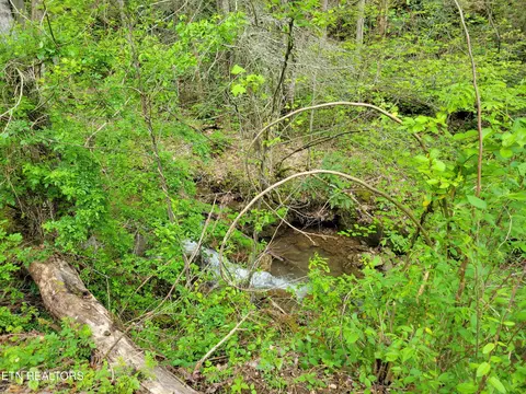45 Alpine Dr, Sevierville, TN 37876