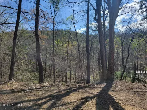 13 Honeysuckle Ln, Sevierville, TN 37876