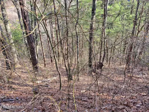 9 Eagle Pt, Sevierville, TN 37876 photo 4