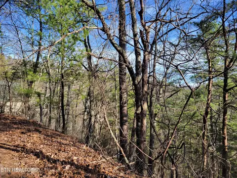 9 Eagle Pt, Sevierville, TN 37876 photo 3