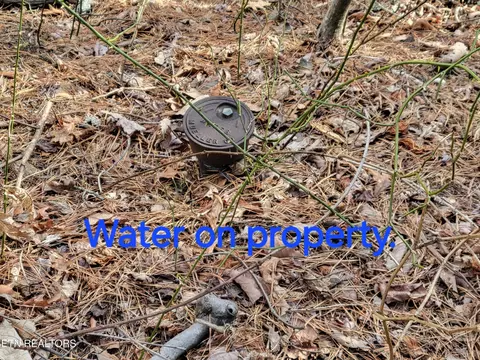 9 Eagle Pt, Sevierville, TN 37876 photo 5