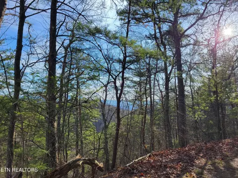 9 Eagle Pt, Sevierville, TN 37876 photo 2