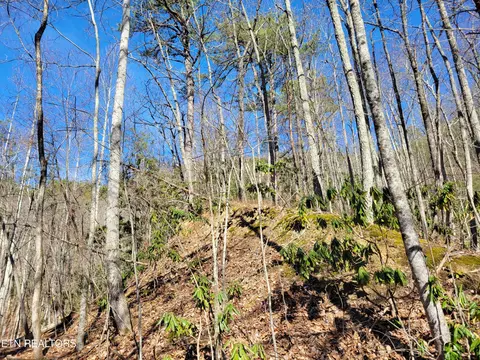 0 John Sevier Dr, Sevierville, TN 37876