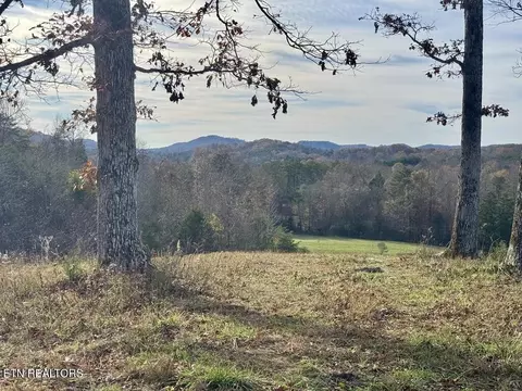 2 Three Point Rd, Vonore, TN 37885 photo 12