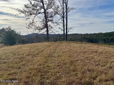 2 Three Point Rd, Vonore, TN 37885 photo 9