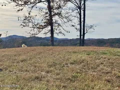 2 Three Point Rd, Vonore, TN 37885 photo 2