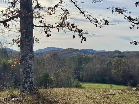2 Three Point Rd, Vonore, TN 37885