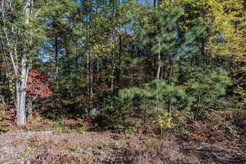 0 Low Sunset Dr, Sevierville, TN 37876