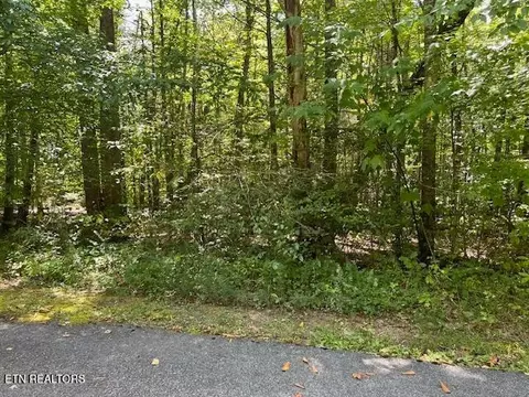 0 Ardell Way, Cosby, TN 37722