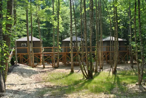 750 Caney Creek Rd, Cosby, TN 37722