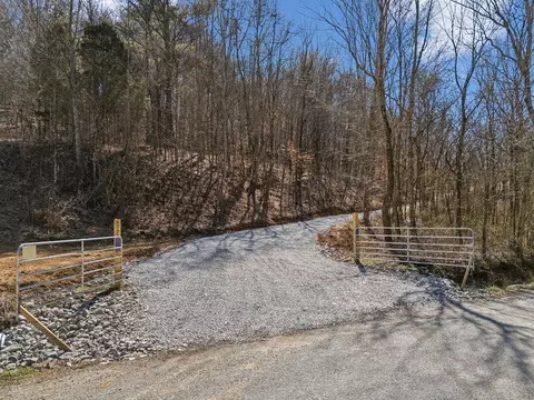 8771 Dog Branch Rd, Mount Pleasant, TN 38474