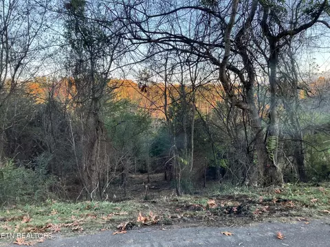0 Lot 19 English Fields Dr, Newport, TN 37821