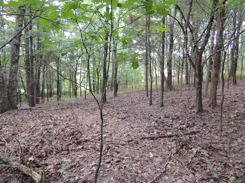 1 Sycamore Rd, Dickson, TN 37055 photo 6