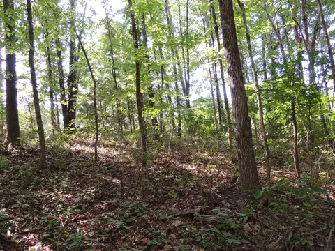 3 Sycamore Rd, Dickson, TN 37055 photo 6