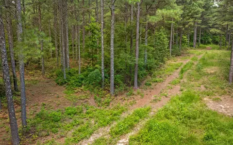 2045 Constellation Ct, Guild, TN 37340 photo 11