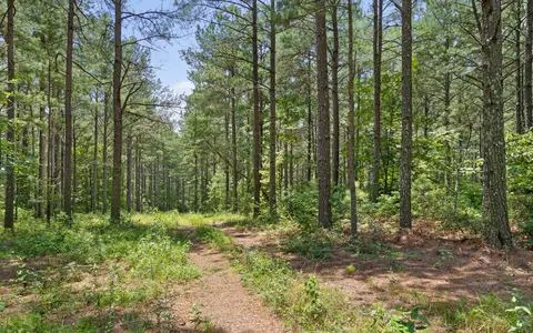 2045 Constellation Ct, Guild, TN 37340 photo 8