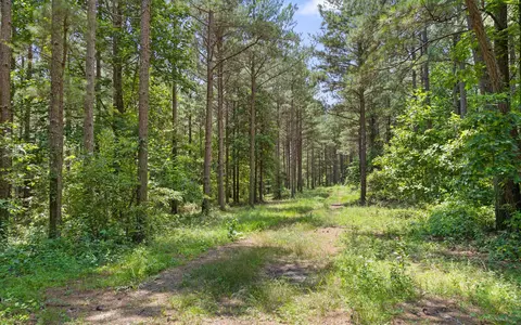 2045 Constellation Ct, Guild, TN 37340 photo 9