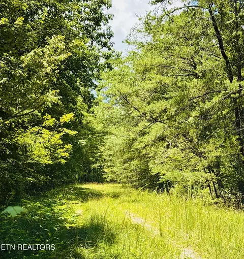117 Greenwell Rd, Crossville, TN 38558