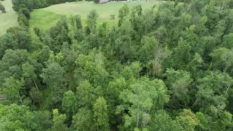 0 Dunn Rd, Baxter, TN 38544 photo 9