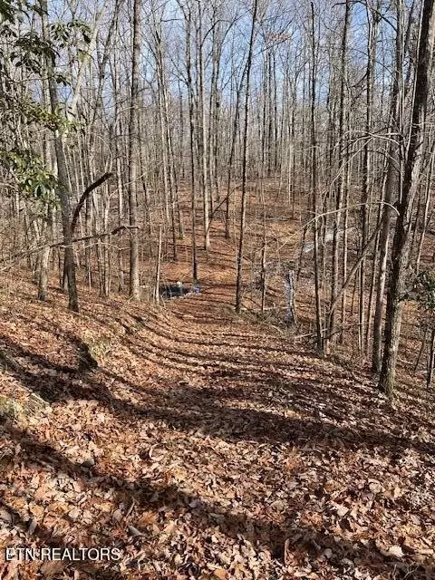 0 Pinney Pl, Monterey, TN 38574